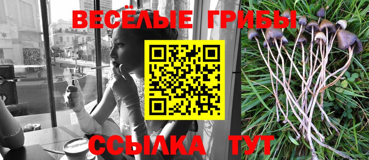 Псилоцибиновые грибы GOLDEN TEACHER Старая Купавна