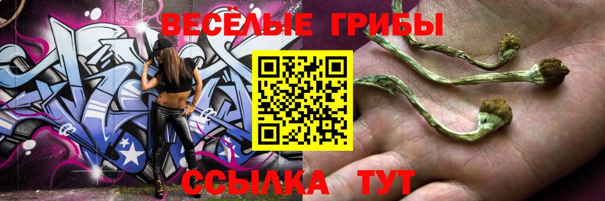 Галлюциногенные грибы мухоморы  Вход с VPN  Старая Купавна  цена   Галлюциногенные грибы ЛСД 